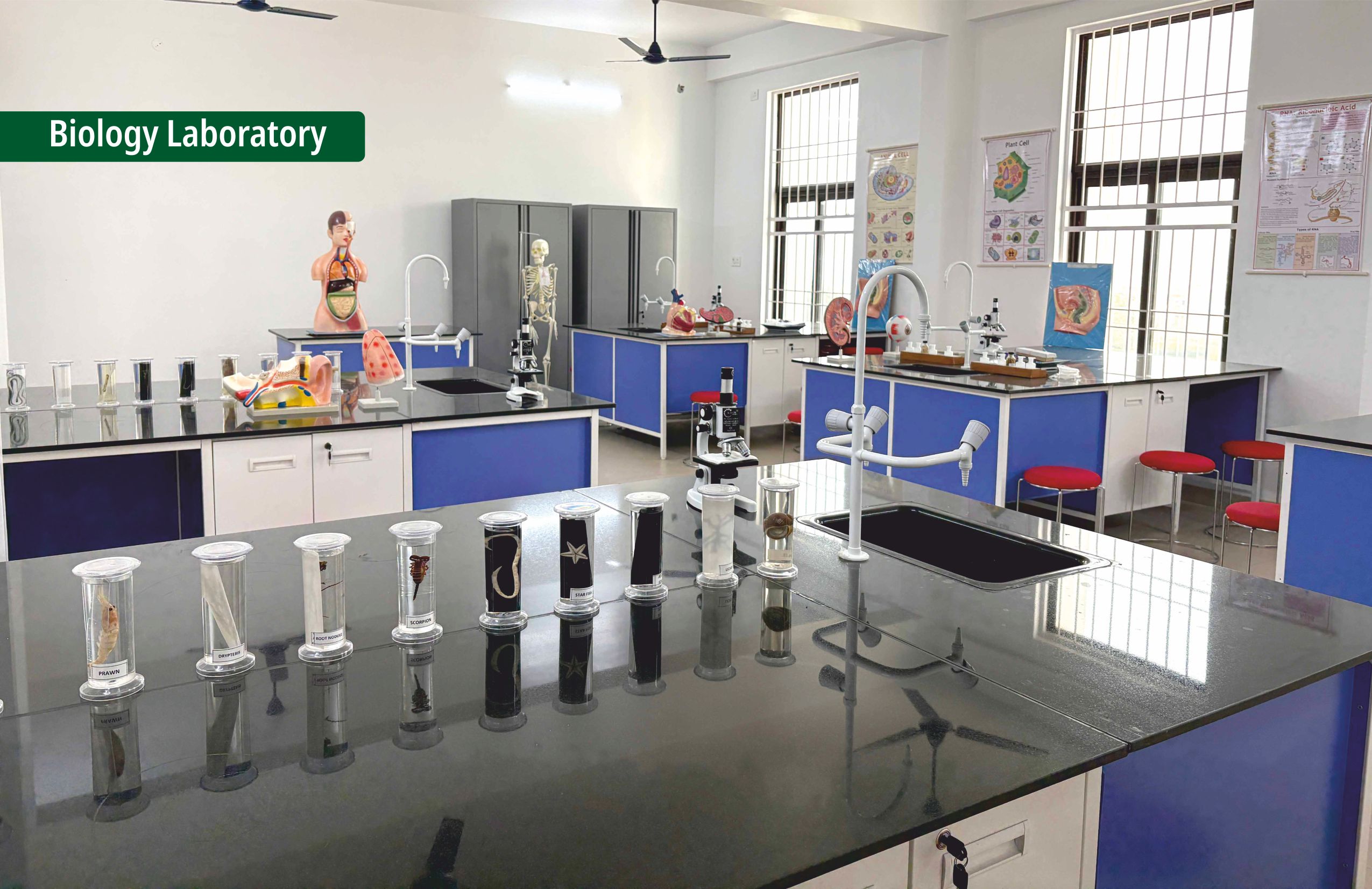 Biology Lab
